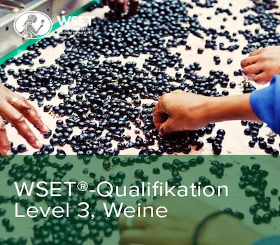 Wset Level 3 Award im Weinkurs